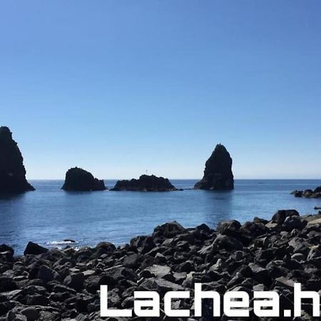 Lachea House Appartamento Sul Mare Dei Ciclopi Aci Castello Kültér fotó